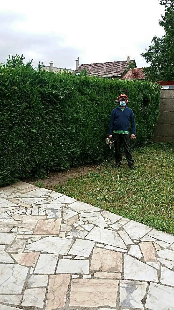 Artisan arboriste après une taille de haie en Essonne